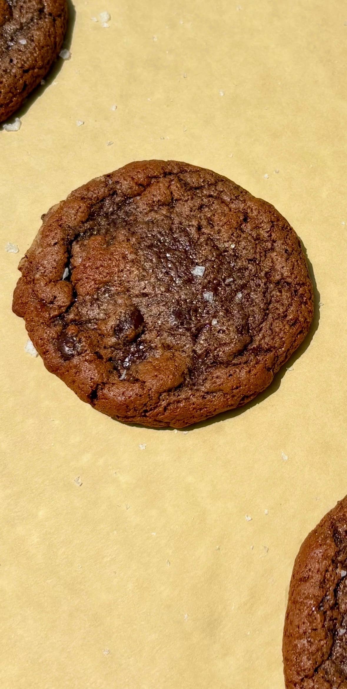 Yumkies - Yumkies Soft-Baked Chocolate Chip Protein Cookie