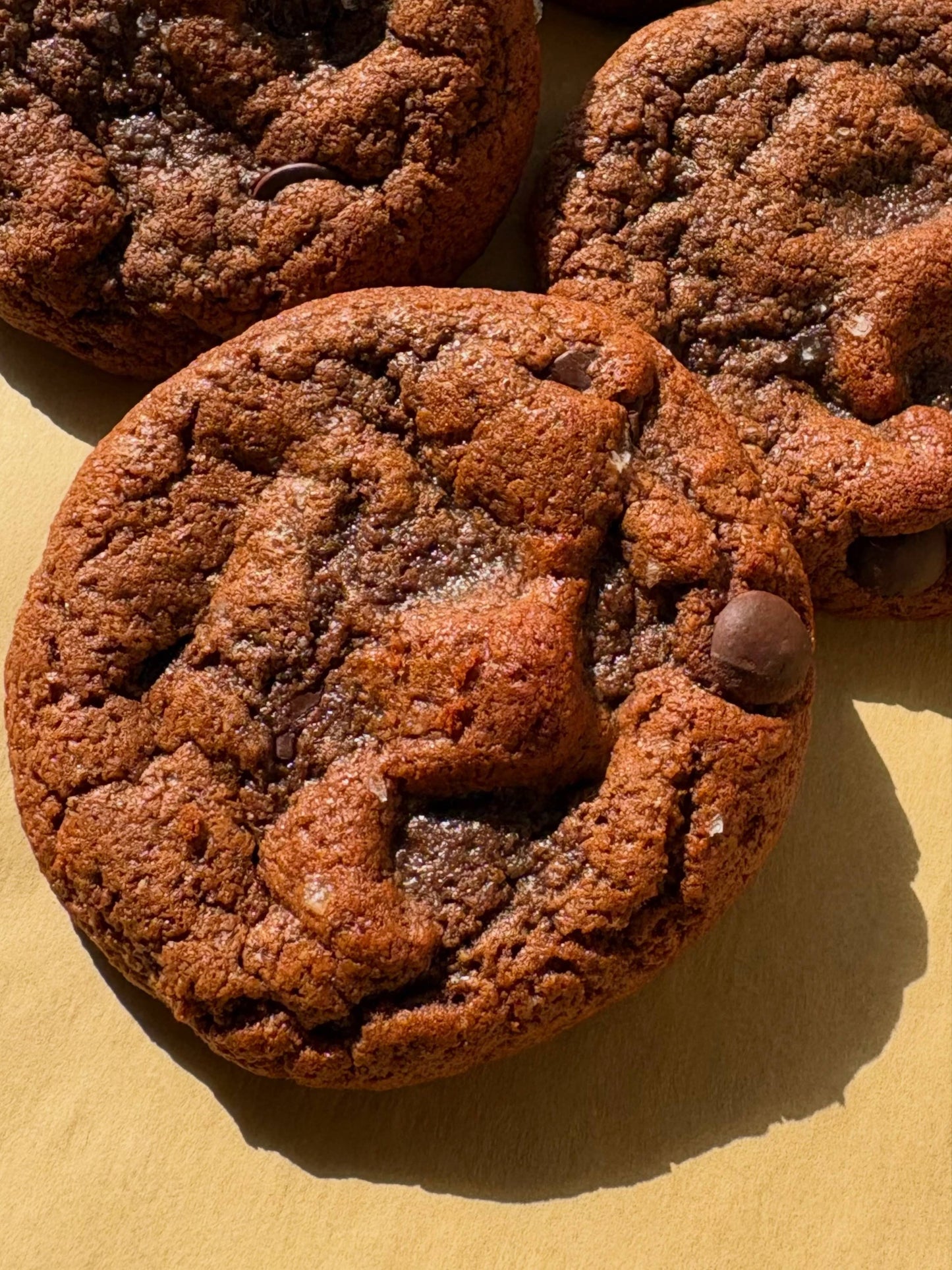 Yumkies - Yumkies Soft-Baked Chocolate Chip Protein Cookie