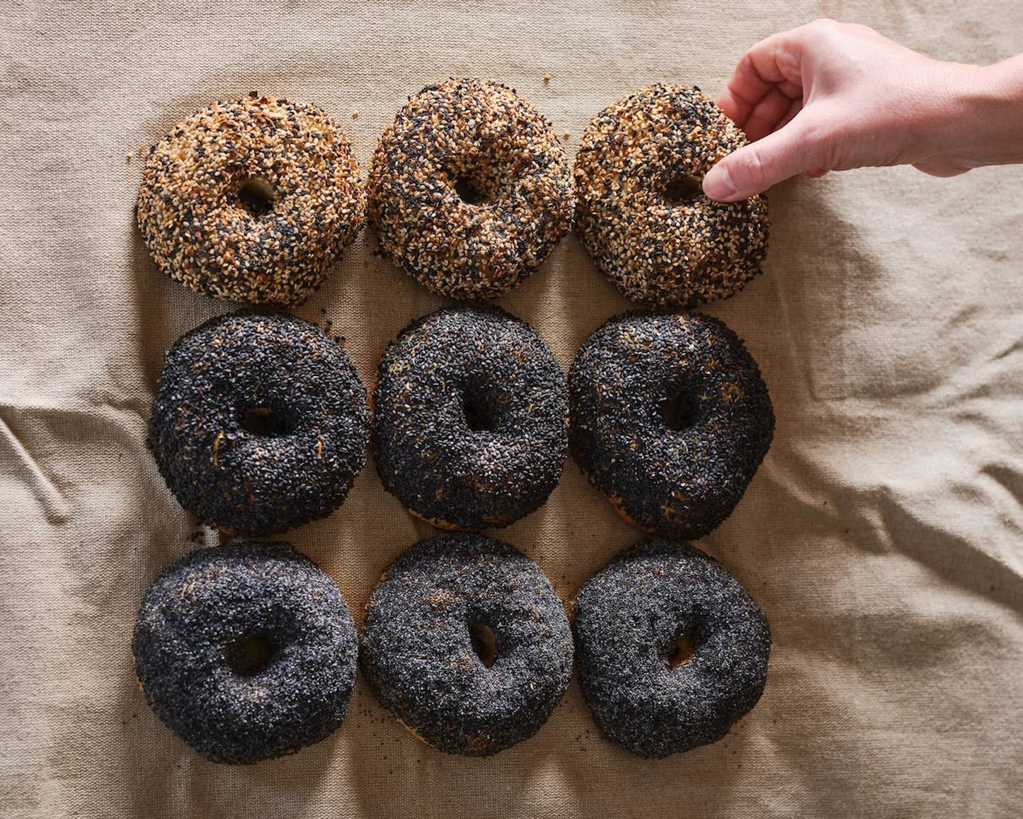 Badass Bagels - Sourdough Bagels, 3 pack (FROZEN)