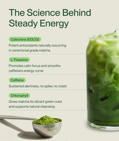 Original Matcha Latte
