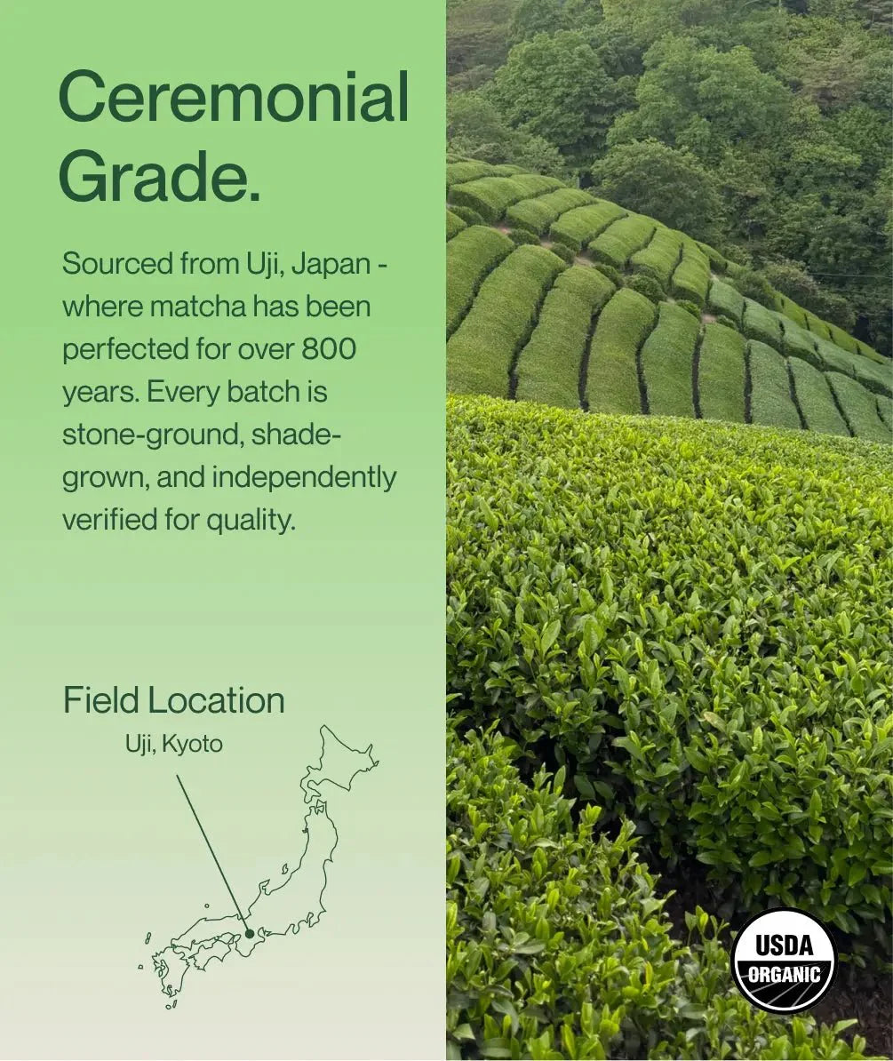 Original Matcha Latte