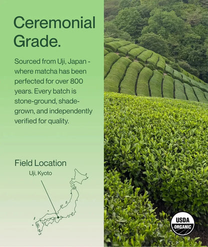 Original Matcha Latte