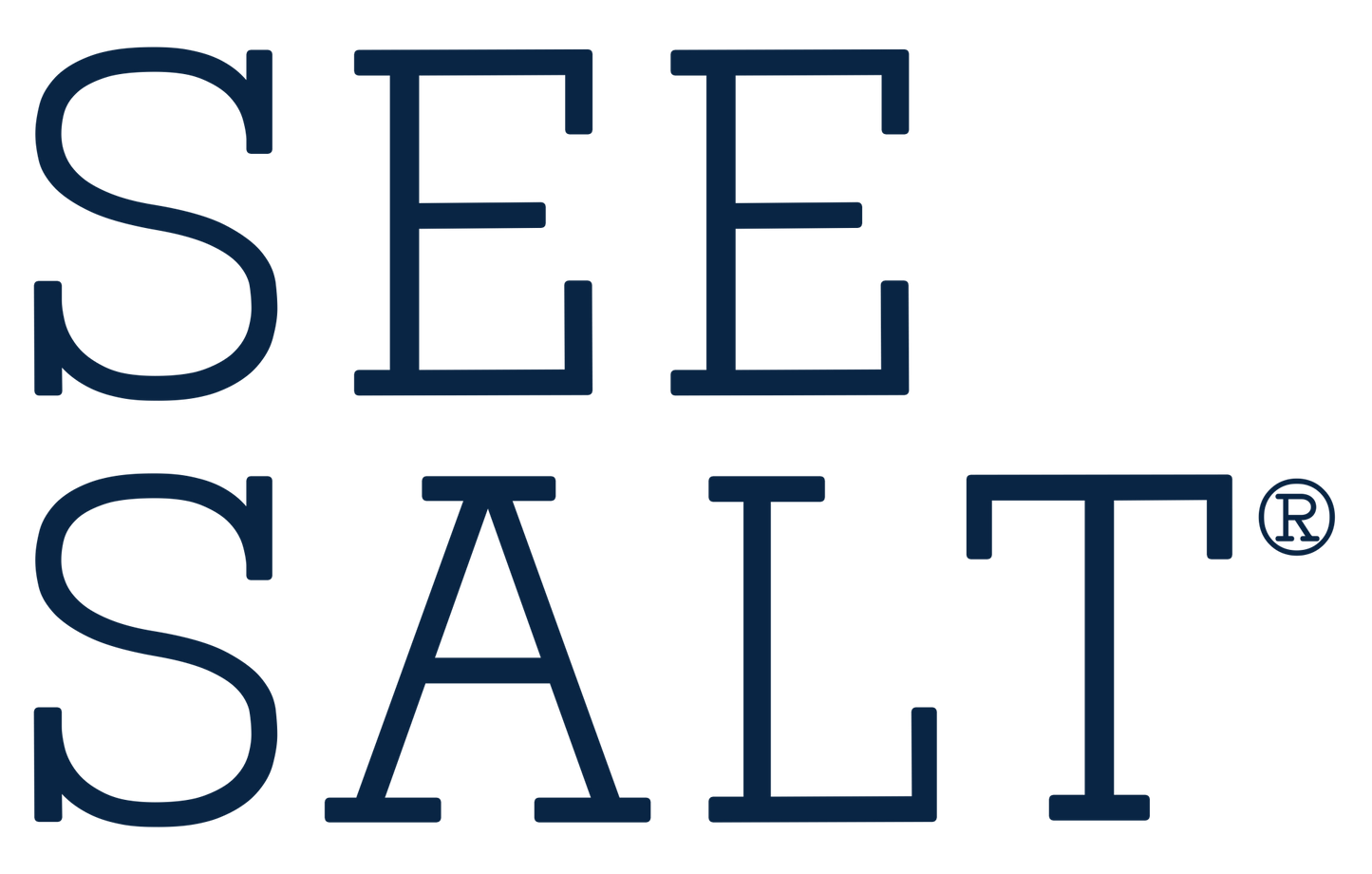 See Salt - Finishing Salt